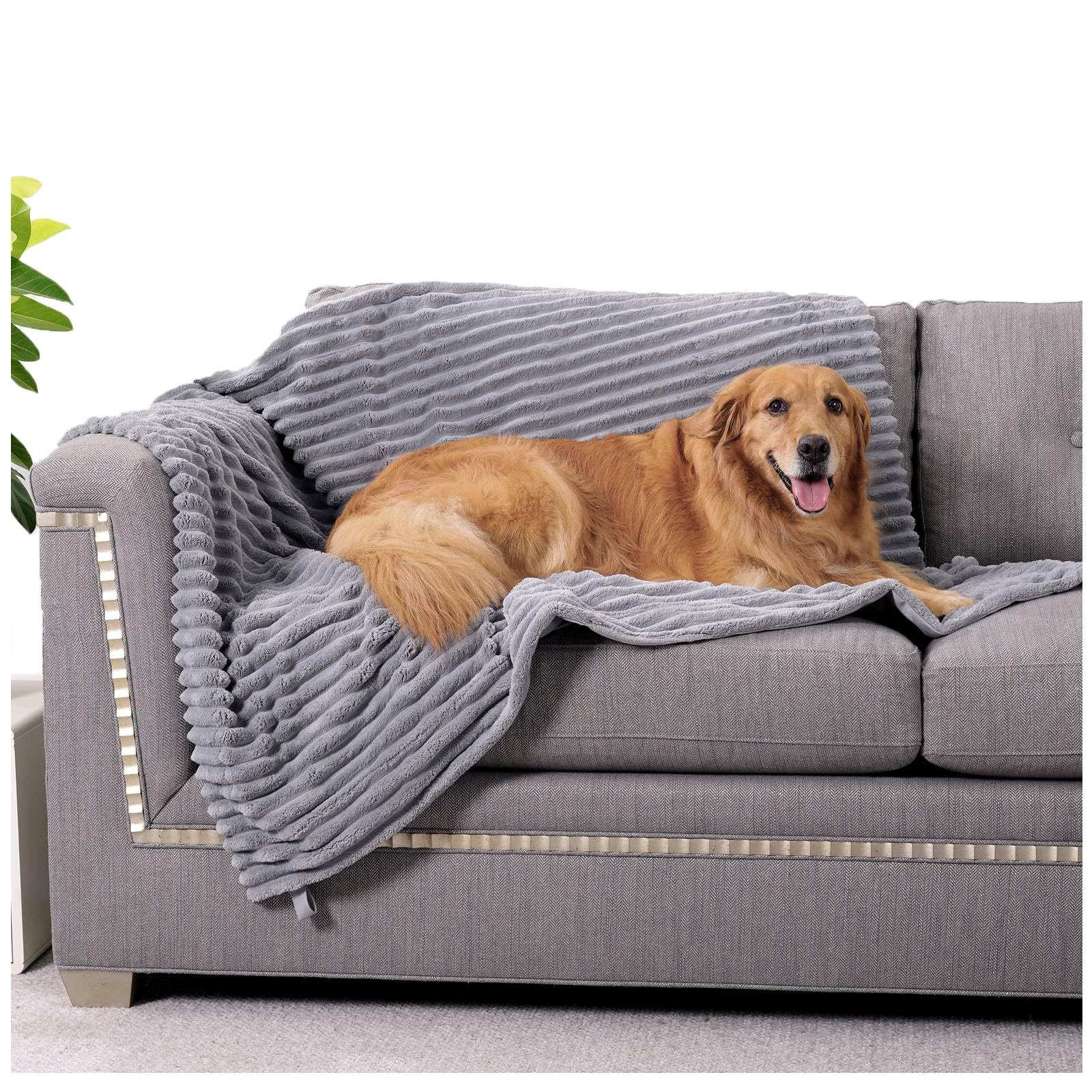 Waterproof Grey Dog Blanket with Plush Comfort